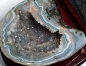 Preview: Agate nut, all sides polished, on wooden base, with fine crystal formation, 1780 grams