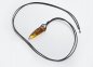 Preview: BALTIC amber pendant amulet on leather strap "wolf tusk"