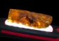 Preview: Baltic amber XL, large piece, 48.38 grams