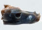 Preview: Dragon head, skull, agate with crystal formation, 680 grams!