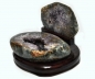 Preview: Agate nut, all sides polished, on wooden base, with fine crystal formation, 2900 grams