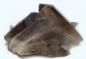 Preview: Smoky quartz Brazil, 3245 grams