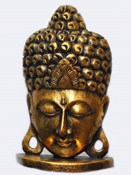 Buddhamaske Albesiaholz, Goldfärbig