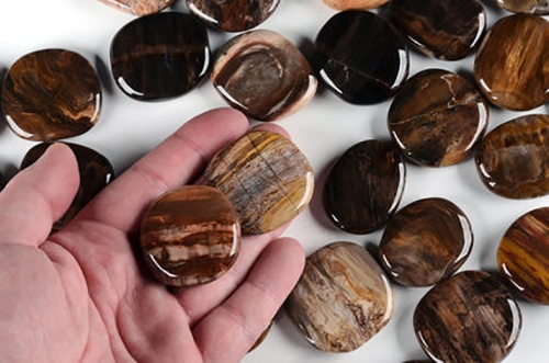 Petrified wood, disc stones, polished