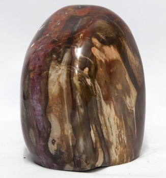 Petrified wood, Madagascar, trunk polished No. 4, 180 million years old