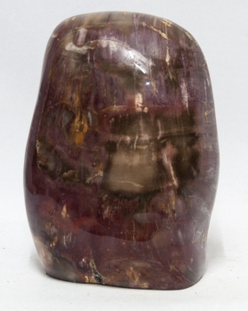 Petrified wood, Madagascar, polished tribe no.3, 180 million years old