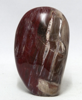 Petrified wood, Madagascar, trunk polished No. 6, 180 million years old