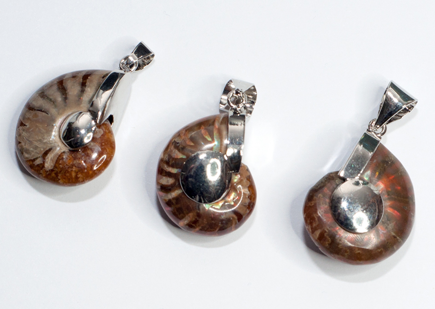 Ammonite pendant, set, 30 - 40 mm