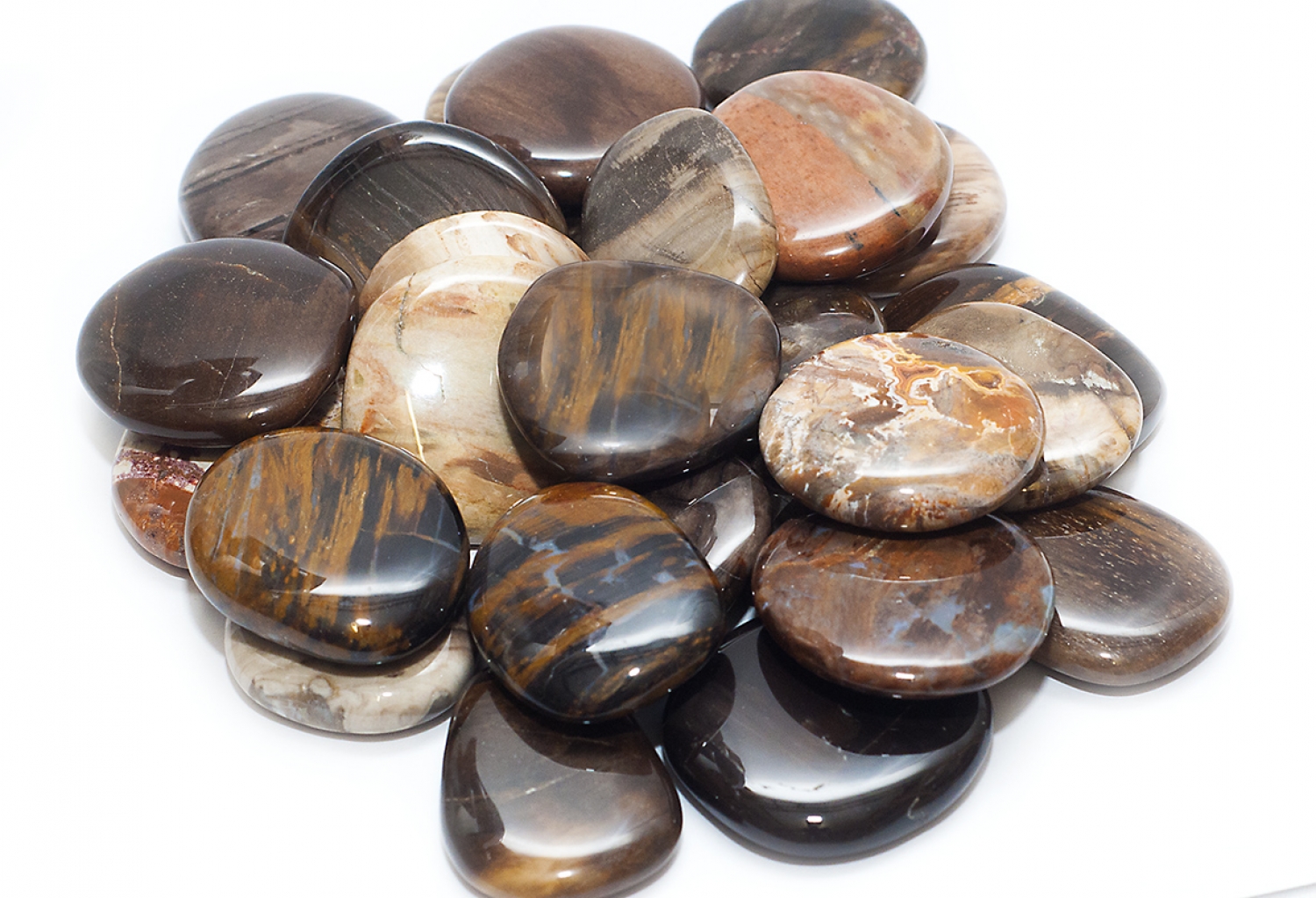 Petrified wood, disc stones, polished