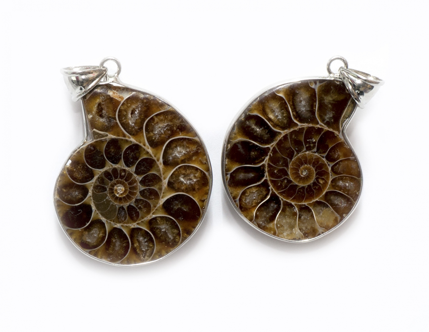 Ammonite pendant, the back partially opalized