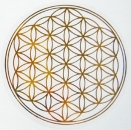 Flower of life, sticker 20 cm